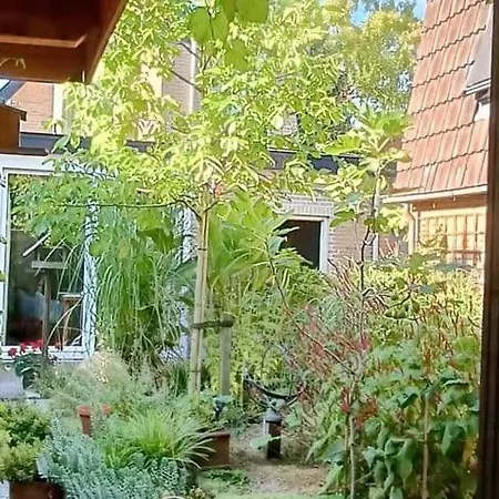 Knus Tiny Gardenhouse Villa Doorn Exterior photo