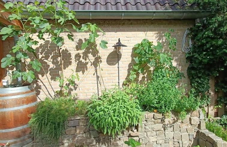 Knus Tiny Gardenhouse Holiday home *